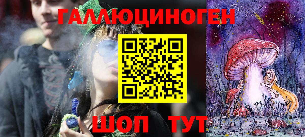 Углич  Псилоцибиновые грибы MAGIC MUSHROOMS  Галлюциногенные грибы прущие грибы  Вход с VPN 